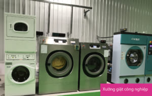 Loại hình kinh doanh giặt là Loại hình kinh doanh giặt là